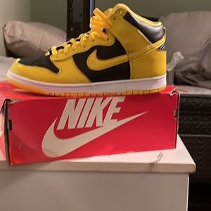 Size 12 Nike Dunk High Varsity